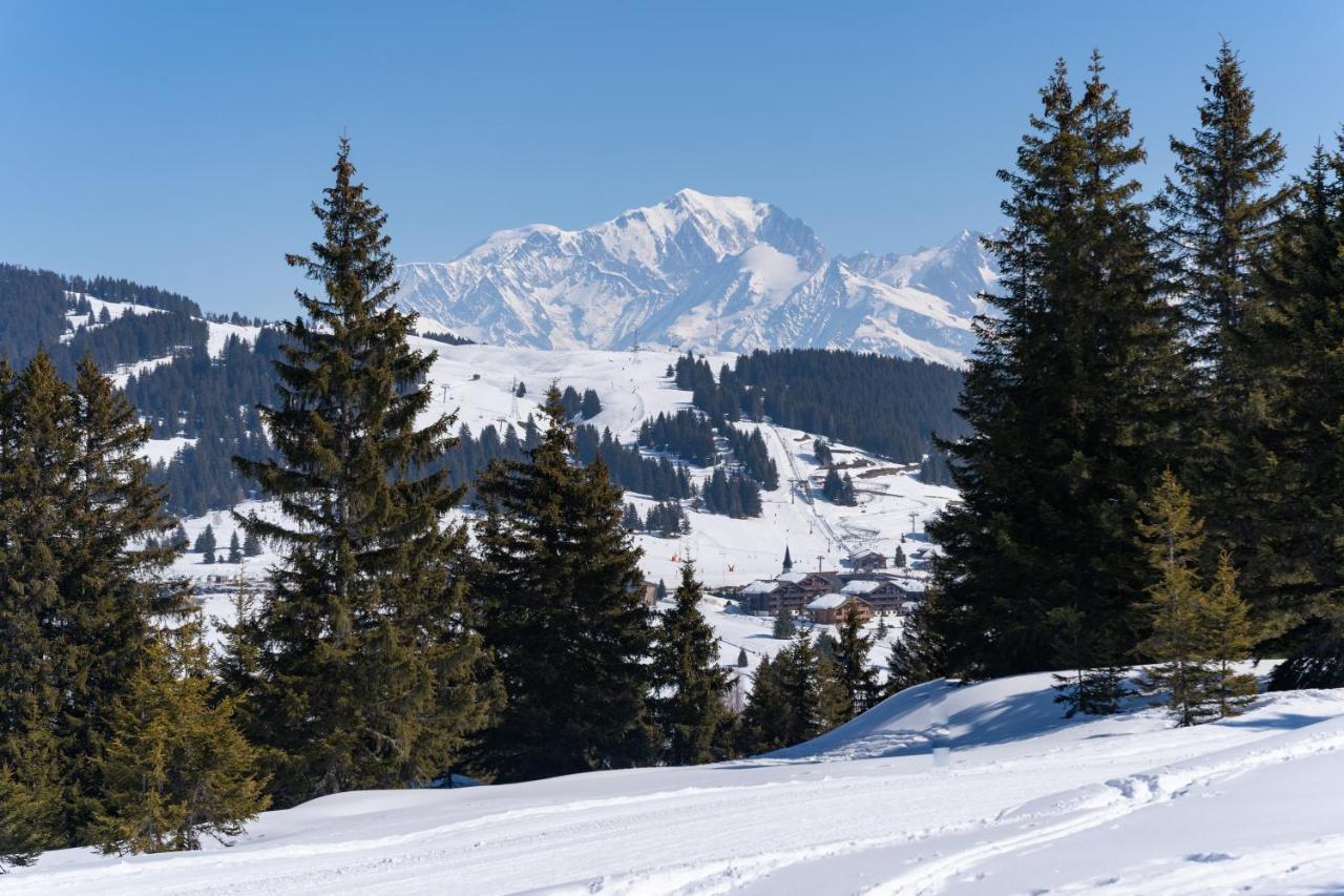 Les Saisies Appart 1 Chambre Au Pied Des Pistes Bagian luar foto