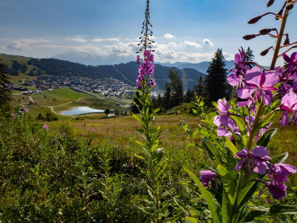 Les Saisies Appart 1 Chambre Au Pied Des Pistes Bagian luar foto