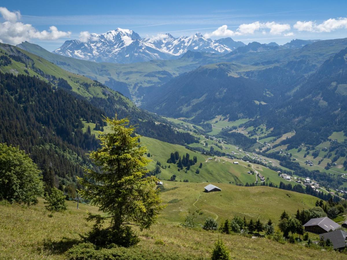 Les Saisies Appart 1 Chambre Au Pied Des Pistes Bagian luar foto